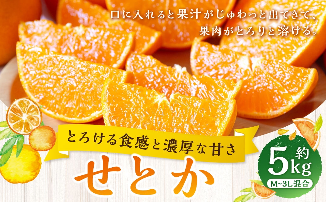 
                  【 とろける食感と濃厚な甘さ 】 せとか 約5kg みかん ミカン 柑橘 柑橘類 柑橘系 くだもの 果物 フルーツ 果実 果汁 果肉 国産 愛媛県産 【 2027年2月上旬～4月下旬発送予定 】 ( 1046 )
                