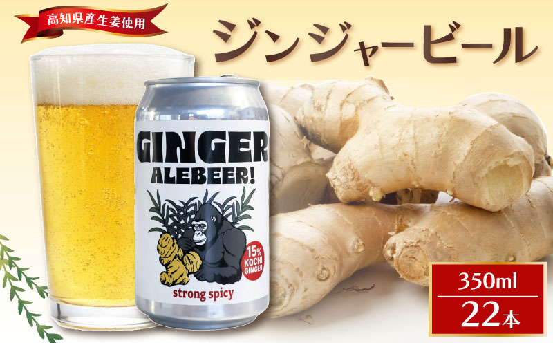ジンジャービール 350ml 22本セット 生姜 缶ビール エールビール 22本セット