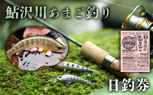 鮎沢川あまご釣り「日釣券」【遊漁券】※着日指定不可｜ 釣り 川釣り フィッシング 体験 チケット 利用券 鮎沢川 静岡県 小山町