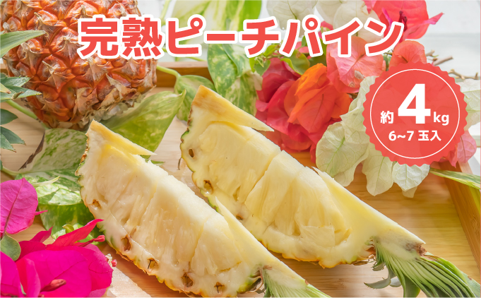 ☆新感覚の味わい☆桃のような芳醇な香りのする　『西表島産完熟ピーチパイン』 約4kg（6〜7個入）