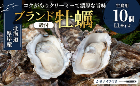 生食用 殻付カキ LLサイズ 10個 マルえもん 生牡蠣 北海道 厚岸産 牡蠣
