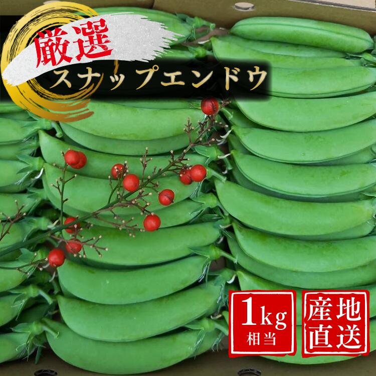 【ふるさと納税】＼ 数量限定 ／ 厳選 こだわり の スナップエンドウ 1kg 相当 種子島産 産地直送 旬