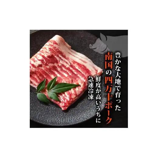 【 豚こま 】 豚肉 豚こま 2.4kg