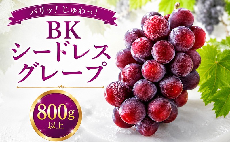 
                  【先行予約：2026年8月下旬～発送】BKシードレスグレープ 800g以上 2～3房 国産 ぶどう グレープ ベリー 巨峰 フルーツ 果物 期間限定 新鮮 果実 産地直送 農家直送 特産品 甘い さわやか ジューシー 不揃い 愛媛県 愛南町 第一マルエム青果有限会社
                