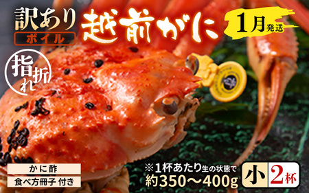 【先行予約】【訳あり】名人が茹でる指折れ訳あり越前がに（小）2杯 (1杯あたり生の状態で約350～400g) やまに仕込み 【1月発送分】 【越前ガニ ズワイガニ ずわいがに 蟹 三国 浜茹で 冬の味覚】 [D-4306_01]
