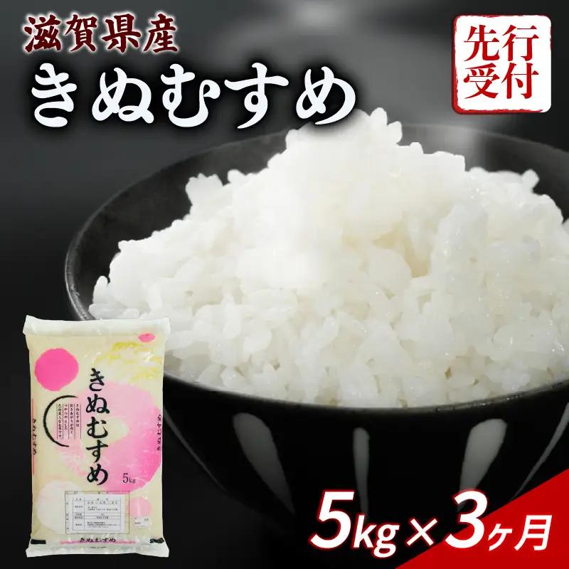 【令和8年産】 先行予約 新米 きぬむすめ 5kg 3回定期便 令和8年産 定期便 米 キヌムスメ