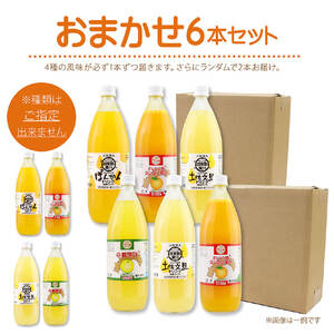 オレンジ園の濃縮ジュース 1L おまかせ6本入り 希釈用【R01127】