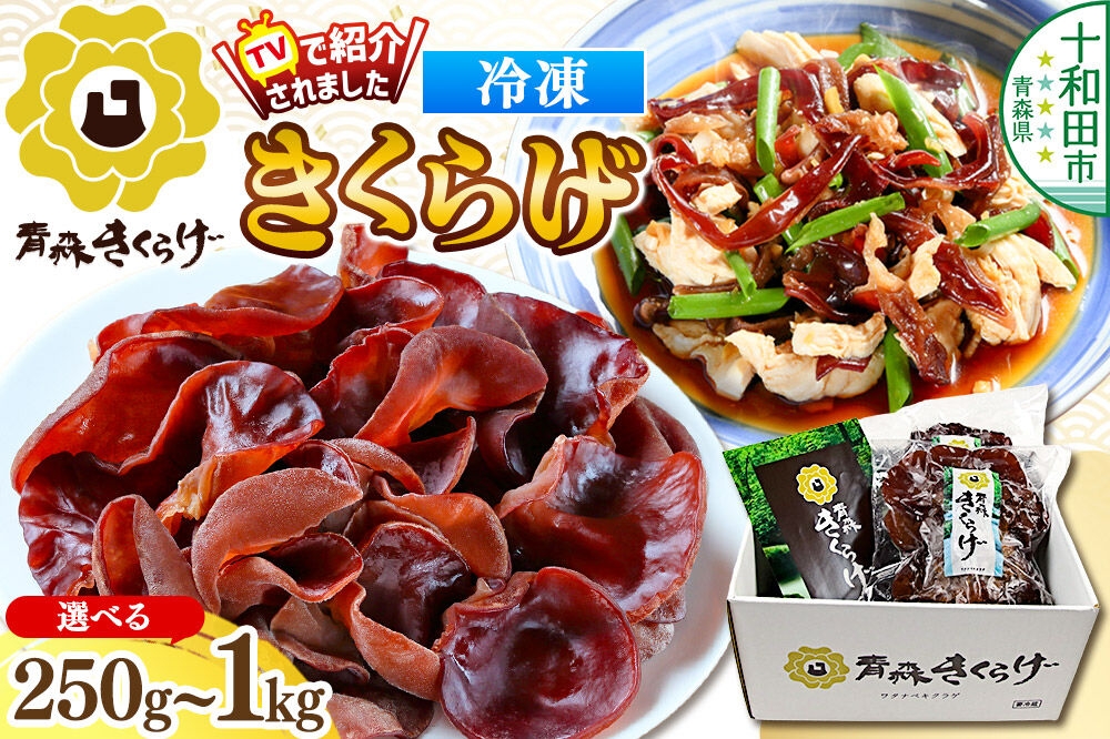 
                  青森きくらげ（冷凍キクラゲ）【選べる内容量：約250g～約1kg】 十和田市産 [真空パック 国産 冷凍]
                