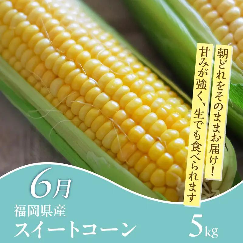 【定期便 6回】旬を味わう定期便 _ 定期便 6回 隔月 お届け しゃぶはり鍋 セット 特選 あまおう 食べ比べ シャインマスカット 梨 しゃぶしゃぶ 豚肉 黒豚 豚ロース 豚バラ 水菜 鍋 鶏肉 水