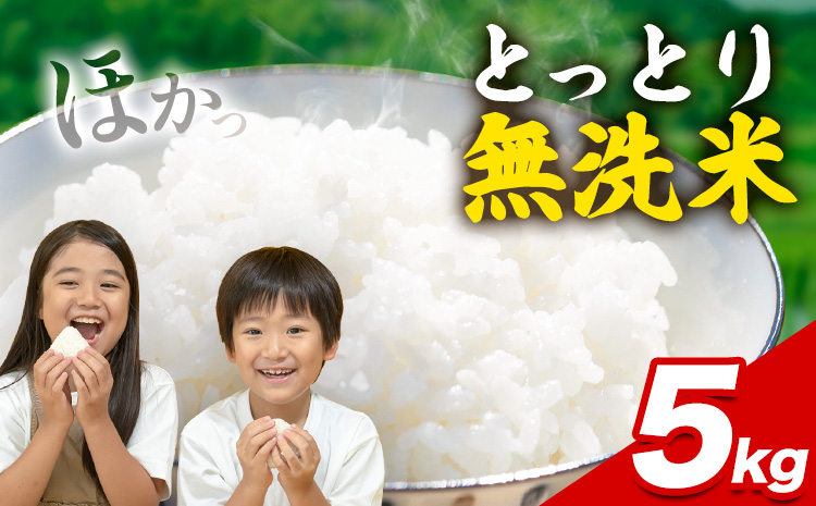 とっとり無洗米 5kg《2025年11月中旬-12月末頃出荷》鳥取県 八頭町 米 お米 白米 ご飯 八頭 ふるさと無洗米
