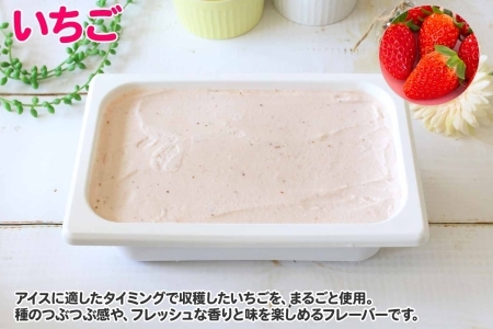 606.アイスクリーム いちご ジェラート イチゴ 苺 業務用 2リットル 2L ベリー アイス 大容量  手作り 北海道 弟子屈町