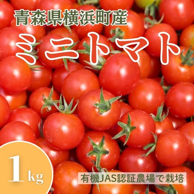 【ふるさと納税】横浜町産ミニトマト1kg