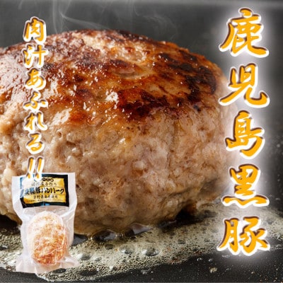 黒毛和牛焼肉と黒豚ハンバーグ A8-47【配送不可地域：離島】【1487973】
