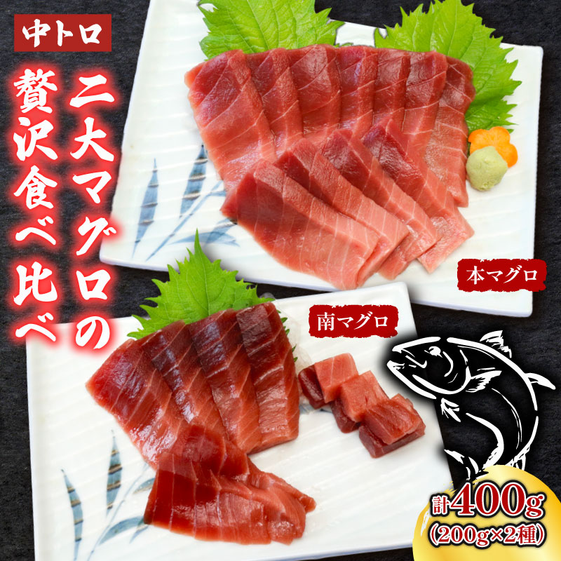 天然本マグロ 天然南マグロ 中トロ各１柵（計４００ｇ）食べ比べ まぐろ 鮪 鮮魚 刺身 寿司 高級 
