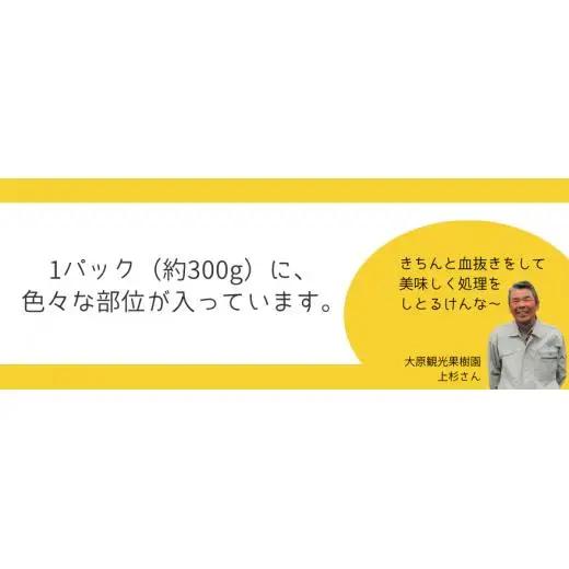 新見産 天然猪肉 極上詰め合わせ スライス肉 約300g×3 【12月上旬～8月下旬頃発送】