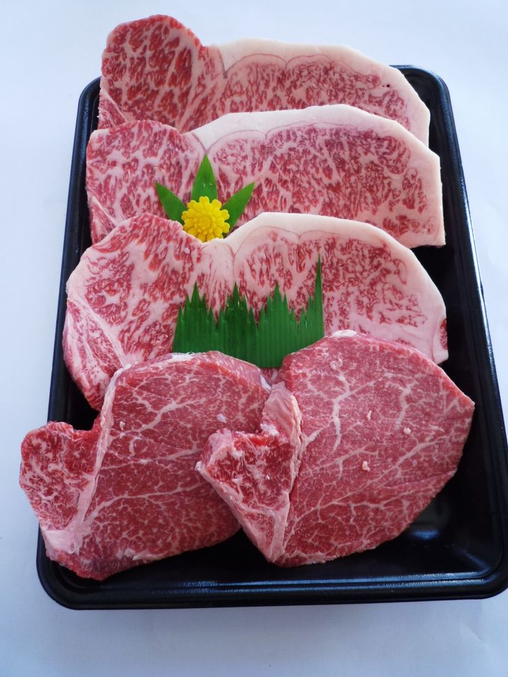 【ふるさと納税】＜ひら山＞厳選 京都府産黒毛和牛（亀岡牛・京の肉・京都肉・丹波産）和牛ヒレステーキ・サーロインステーキセット (ヒレ100gx2枚、サーロイン200gx3枚）