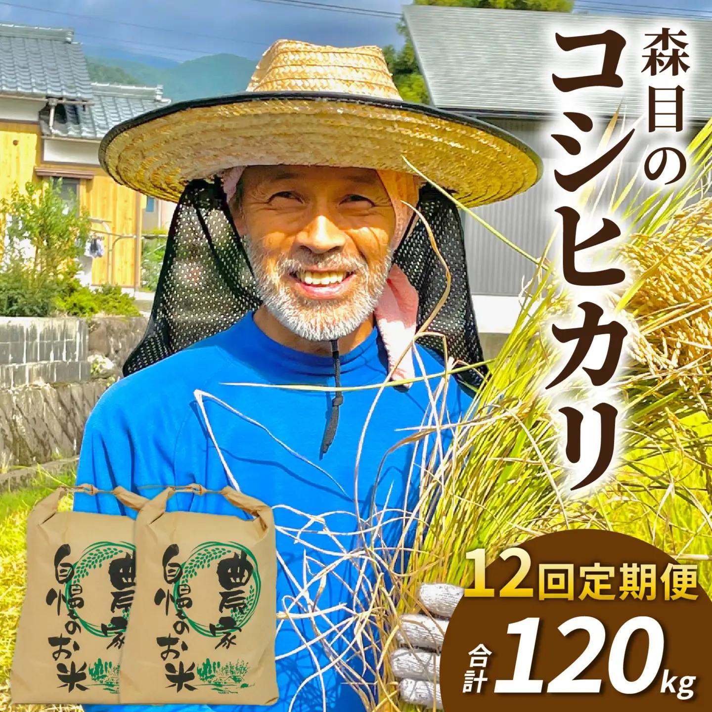 令和8年産 新米 こしひかり 10kg 12回定期便 玄米