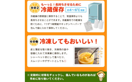 ＜伊予柑（訳あり）合計約3kg＞『2027年1月上旬～1月下旬迄に順次出荷予定』訳アリ わけあり いよかん イヨカン 濃厚 蜜柑 ミカン 果汁 果物 くだもの フルーツ 柑橘 あまい 甘い 季節 旬の