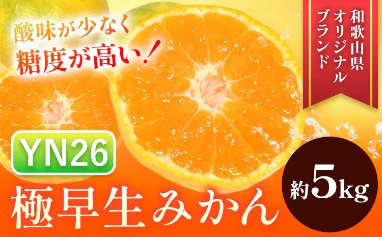 みかん 極早生みかん YN26 約5kg
