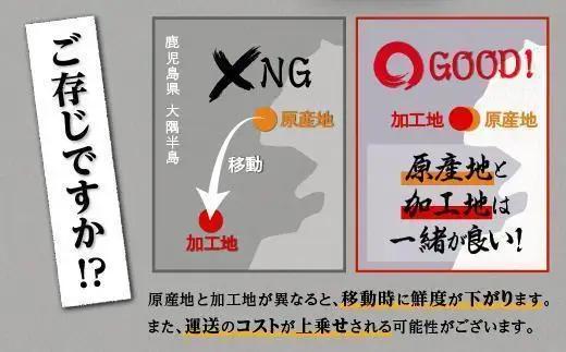 【定期便】おおさきうなぎ 鹿児島県産 うなぎ 長蒲焼2尾（全12回）合計24尾
