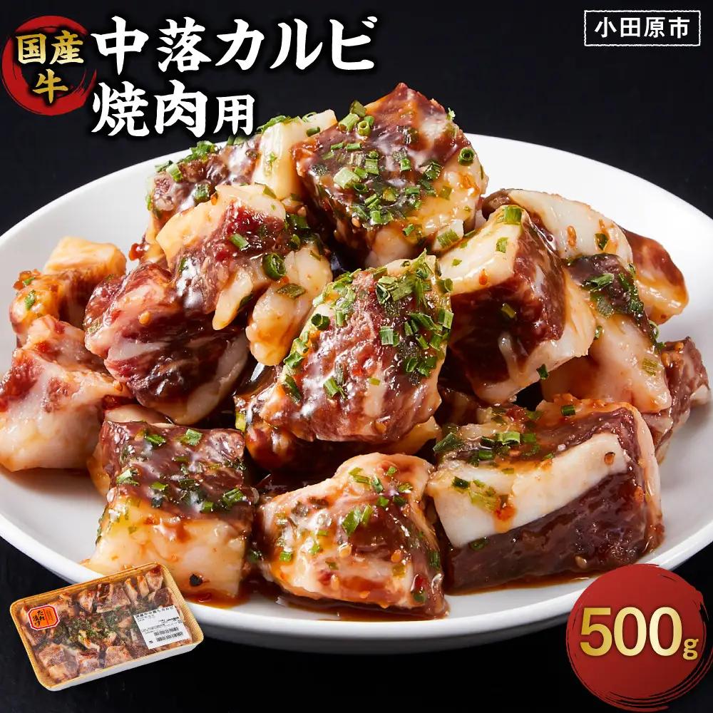 中落ち カルビ 焼肉用 500g ｜ カルビ 焼くだけ 味付け