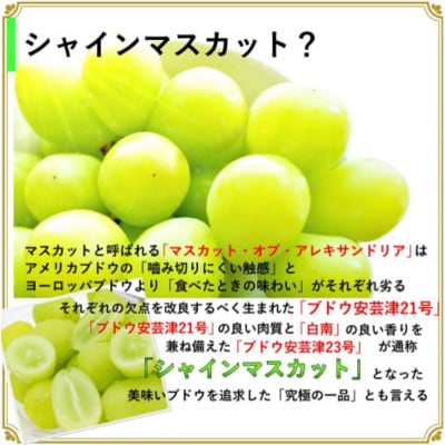 安心のクール便発送　シャインマスカット 2kg (3～4房)【配送不可地域：離島・北海道・沖縄県・中国・四国・九州】