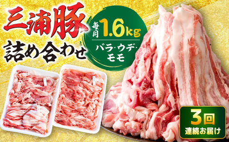 【3回定期便】 特盛三浦豚 1.6kg 豚肉セット / 恵那市 / あづま精肉店 [AUDL006]