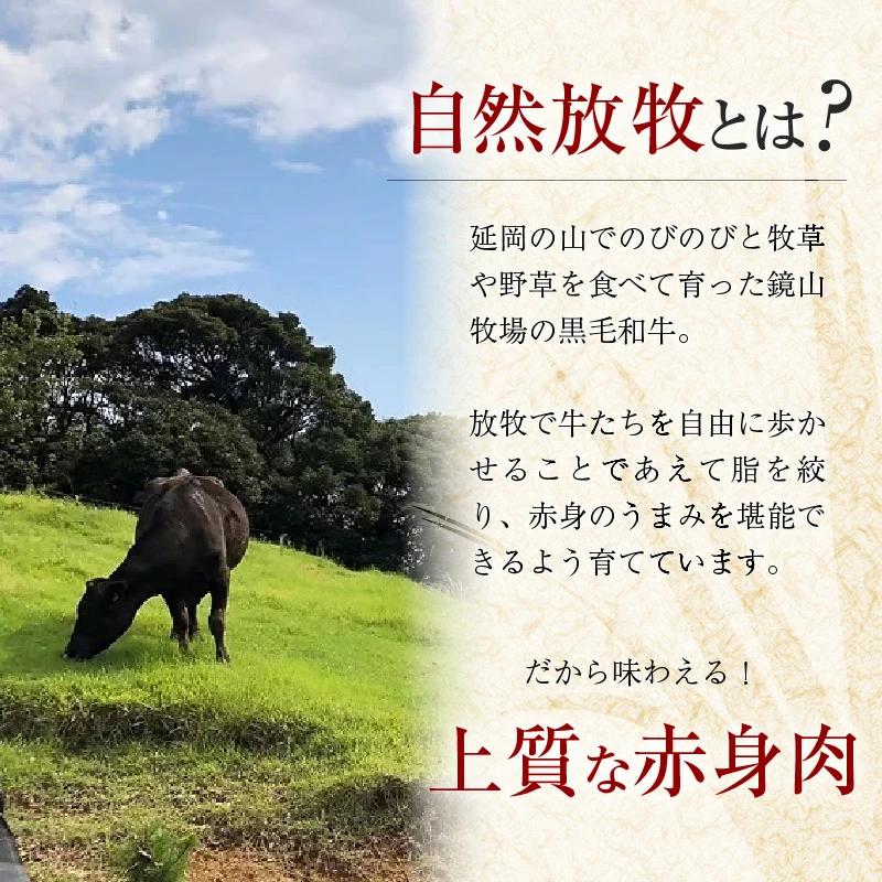 八崎牛の熟成モモスライス約250g×2 N0105-YC626_イメージ4