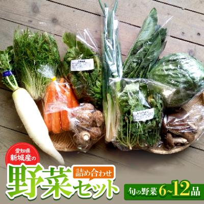 ふるさと納税 新城市 新城産の野菜詰め合わせセット