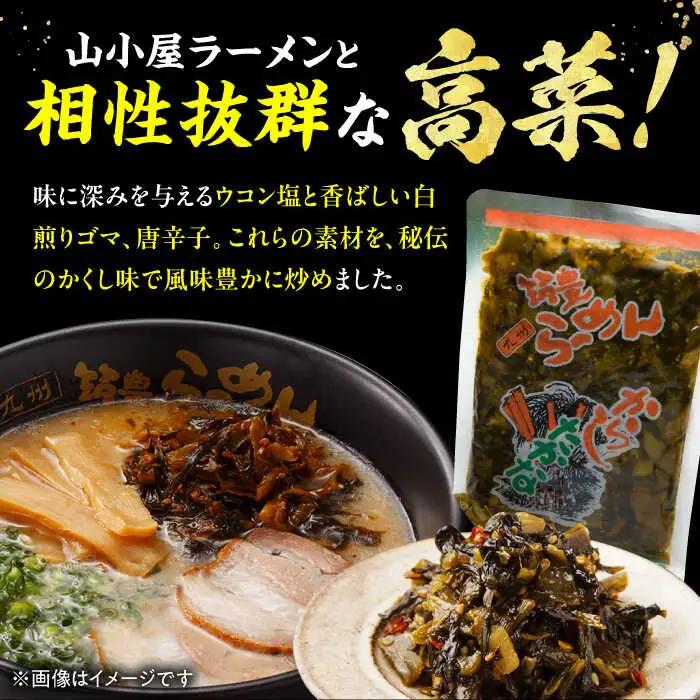 高菜生ラーメン5食＋替玉セット / 豚骨ラーメン スピード配送[AFAE008]