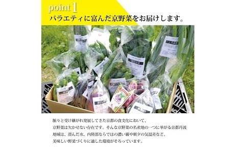 【京丹波の野菜】旬の京野菜セット スペシャルコース【 野菜 野菜詰め合わせ 野菜セット 京野菜 】 [015KH003]
