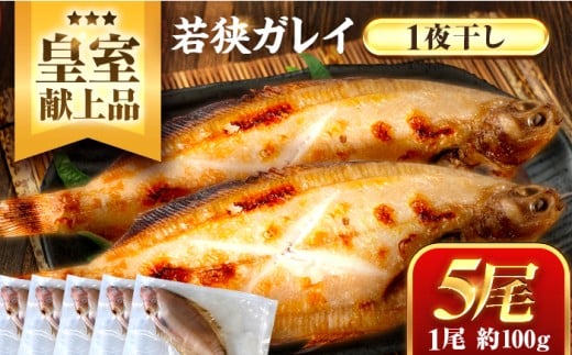 献上鰈 上品な味わい 若狭かれい一夜干し 約100g×5尾セット / 干物 魚介 冷凍 ギフト 小浜市 / まるほ商店 【配送不可地域：北海道・沖縄・離島】 [BFCS059]