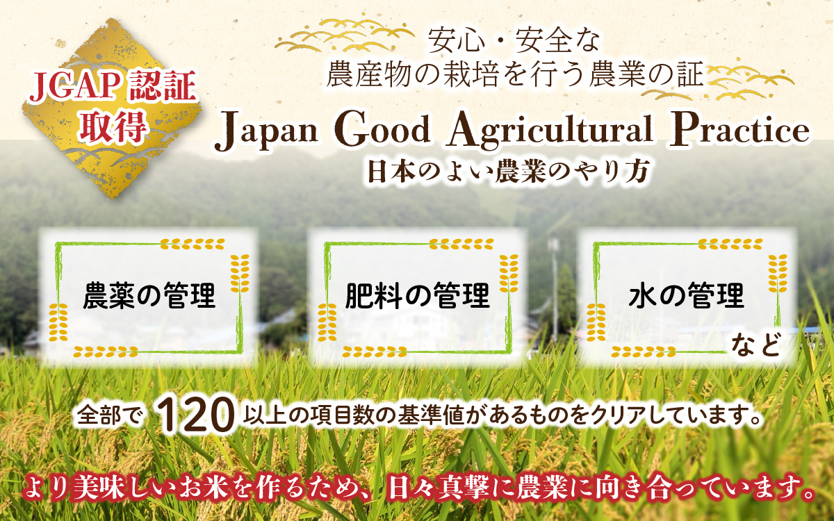 【先行予約】【令和6年産 新米】福井県大野市産 JGAP認証 コシヒカリ「あかね」（白米）5kg×2袋　計10kg【11月初旬より順次発送】