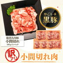 【ふるさと納税】＜訳あり＞かごしま黒豚小間切れ肉(計約2.5kg・約500g×5P) 鹿児島 国産 九州産 黒豚 豚肉 お肉 ウデ モモ スライス 切落し 切り落とし 小分け しゃぶしゃぶ とん汁 豚汁 カレー 肉じゃが 【和田養豚】