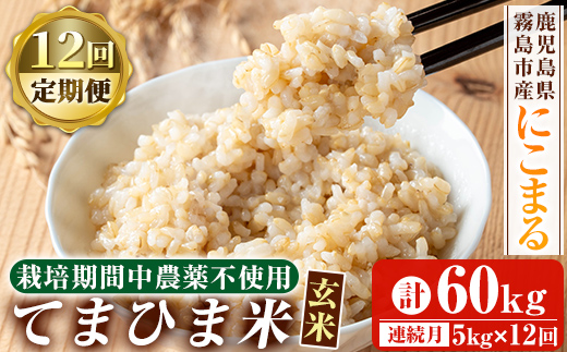K-391-G 【12回定期便】《令和6年産》てまひま米・玄米(品種：にこまる)(計60kg：5kg×12回)【末蜜農園】霧島市 お米 玄米 米 こめ コメ ご飯 ごはん 定期便 栽培期間中農薬不使用