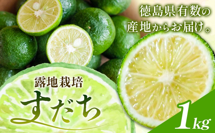 佐那河内名産 露地栽培 すだち 1kg 露地すだち スダチ 一般財団法人さなごうち《8月下旬-11月上旬頃出荷》徳島県 佐那河内村 送料無料 スダチ 露地 魚 豆腐 冷奴 焼き魚 天ぷら 刺身 上質 徳島県産---sanagouchi_hss_4_1kg---