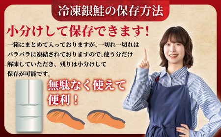 訳あり 銀鮭 1.5kg 銀鮭