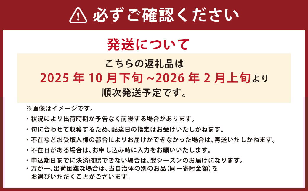 高級 三つ星 至高のフルーツトマト pomodia ポモディア 約1.2kg（24～35個）
