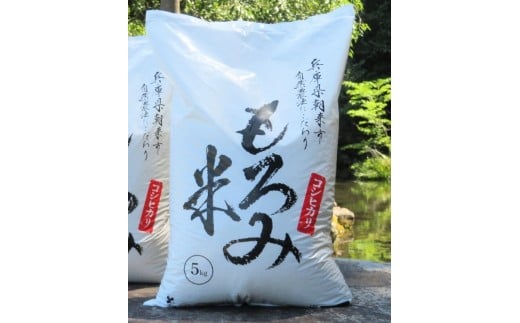 自然が育んだ美味しいお米◆もろみ米◆コシヒカリ　5kg＜5kg×1袋＞ 令和7年産 コシヒカリ 安心・安全