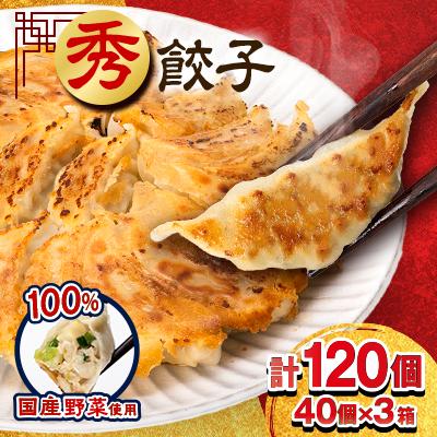 ふるさと納税 磐田市 秀餃子 120個(40×3箱)2.4kg 国産野菜と肉の新鮮さにこだわった本気のぎょうざ 国産 冷凍