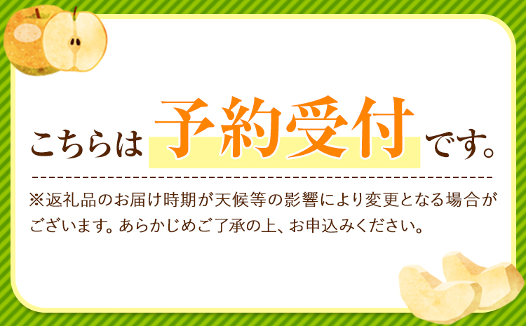 くまもと梨 梨 秋 旬 なし 幸水 豊水 先行 果物 くだもの フルーツ ナシ 梨 先行予約 送料無料 あきづき 甘太 新高 新興 約3.5kg 5玉〜15玉前後 熊本県産【着日指定不可】《8月下旬‐