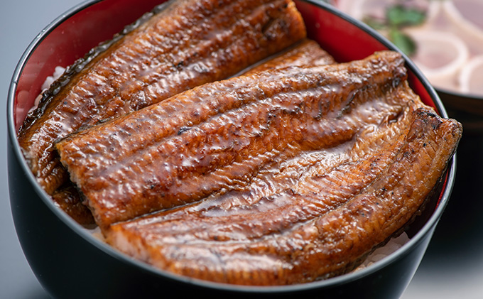 【厳選肉厚】浜名湖鰻蒲焼 1本（約200g） うなぎ 