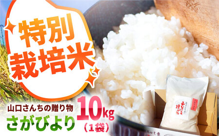 スピード発送 令和7年産 特別栽培米！さがびより10kg（白米）/ 白米 [IAS006]