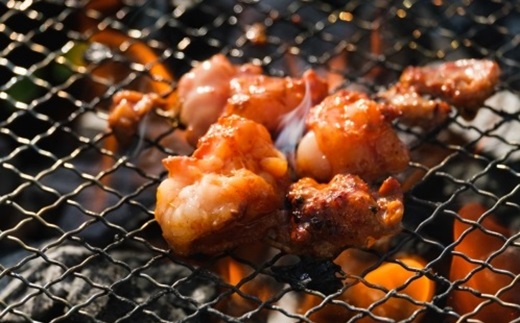 国産牛ホルモン ホソ味付け 1200g 人気商品 国産牛 ホルモン 特製たれ 味付け 焼肉 バーベキュー 京都 丹波 いづつ屋 ※北海道・沖縄・その他離島への配送不可 [020IZ002]