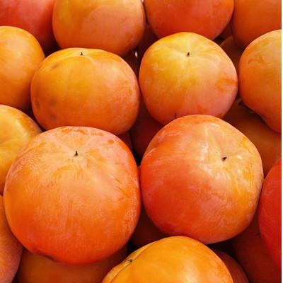 ふるさと納税 北山村 【ご家庭用わけあり】和歌山秋の味覚 富有柿 3.5kg【uot741】 |  | 02