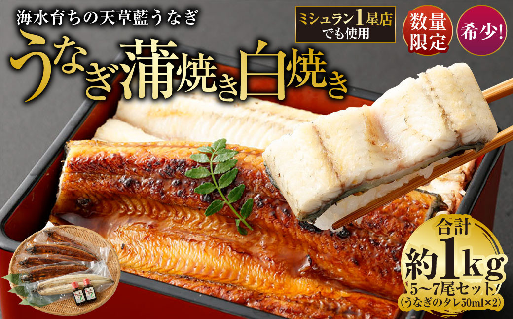 
            海水育ちの天草藍うなぎ 紅白5～7尾セット 合計約1kg タレ付き うなぎ 鰻 ウナギ 蒲焼き かば焼き うなぎの蒲焼 白焼き 魚 お魚
          
