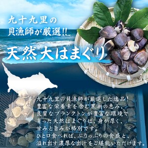 はまぐり 訳あり 規格外 10パック 計 4kg はまぐり