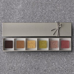 PATISSERIE ASAKO IWAYANAGI プレミアム塩ショコラ 6個入り詰合せ【スイーツ デザート 洋菓子 チョコ お取り寄せ グルメ ギフト プレゼント 贈り物 誕生日 記念日 お祝い 東京都 世田谷区】_0002-009-se6