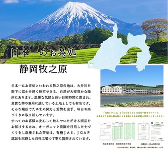 054-22　水出し専用 深蒸し茶 ティーバッグ(5g×20p)5袋