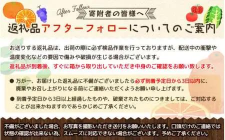 みかん 蜜柑 温州みかん 極早生みかん 柑橘 訳あり 果物 フルーツ / サイズL以下 訳あり極早生温州みかん 約9kg 【2026年9月中旬から10月下旬に順次発送予定】【mok016A】